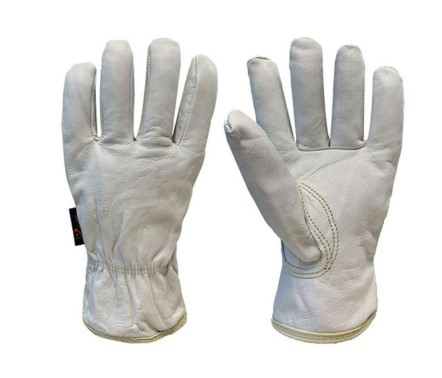Pred Leather Driver Gloves Ivory