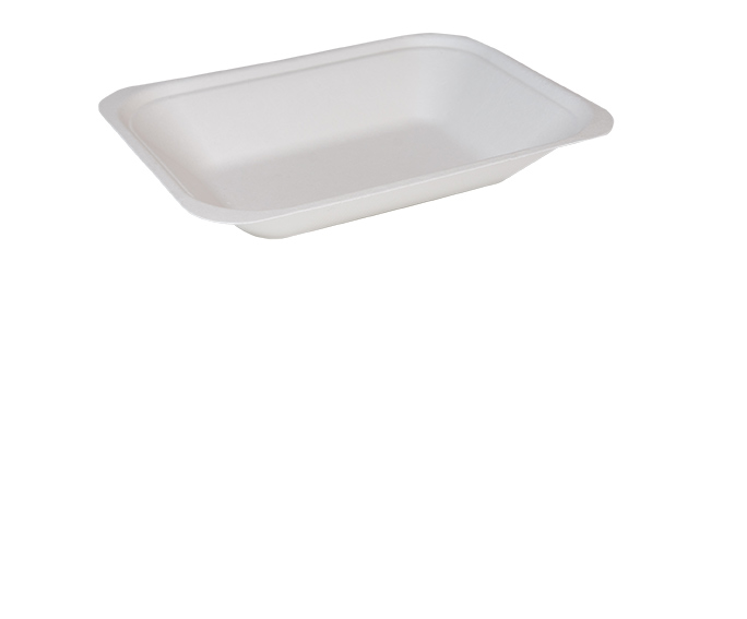 Bagasse Chip Tray Medium