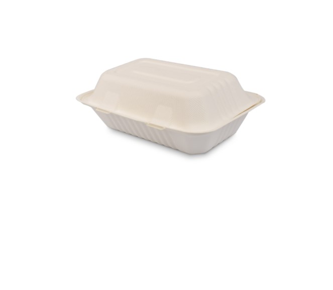 9"x6" Large Bagasse Box  (HP3)
