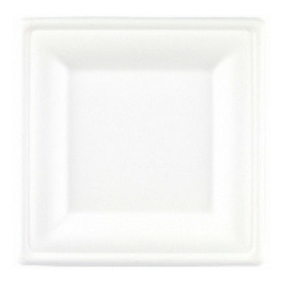  Bagasse Square Plate
